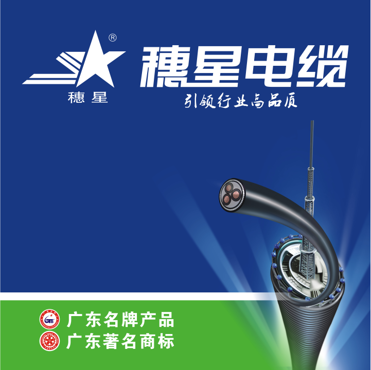 廣州電纜：找電纜網(wǎng)攜手廣東電纜協(xié)會共商電纜職業(yè)創(chuàng)新革新